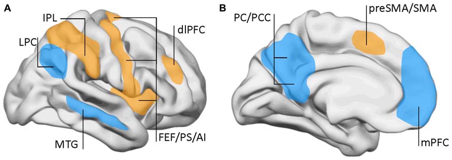 Default position. Liang et al.2014. Holmes et al. Default Mode Network Limbic Brain. Lefton et al.