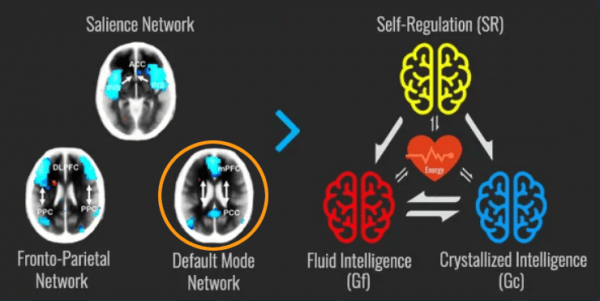 crystallized vs fluid intelligence psychology definition