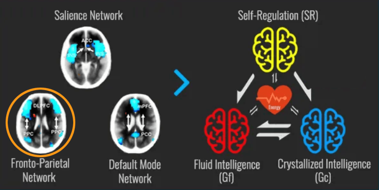 frontoparietal and fluid intelligence