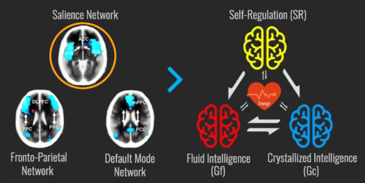 salience network self-regulation