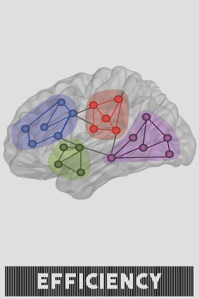 Trident Efficiency IQ Brain Training